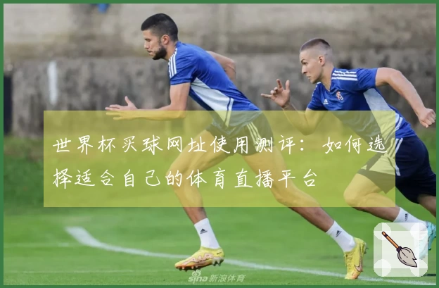 世界杯买球网址使用测评：如何选择适合自己的体育直播平台