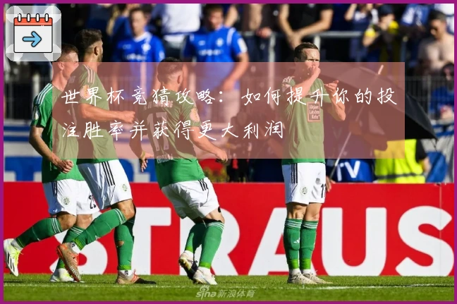 世界杯竞猜攻略:如何提升你的投注胜率并获得更大利润