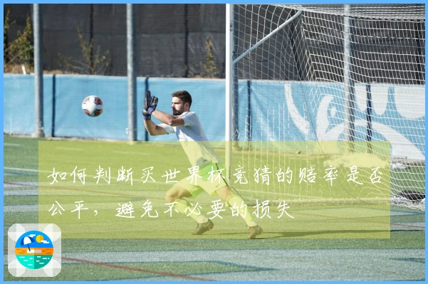 如何判断买世界杯竞猜的赔率是否公平,避免不必要的损失