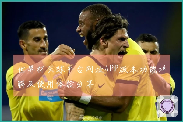 世界杯买球平台网址APP版本功能详解及使用体验分享