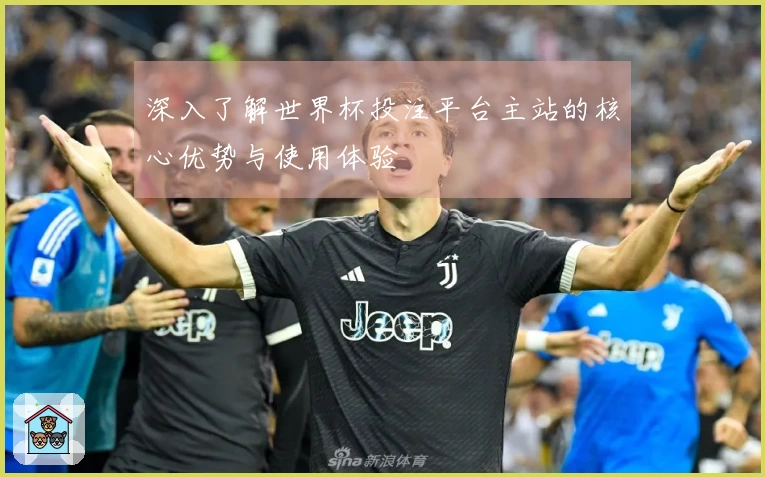 深入了解世界杯投注平台主站的核心优势与使用体验