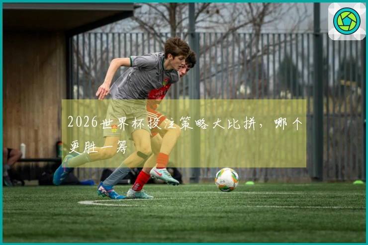 2026世界杯投注策略大比拼，哪个更胜一筹