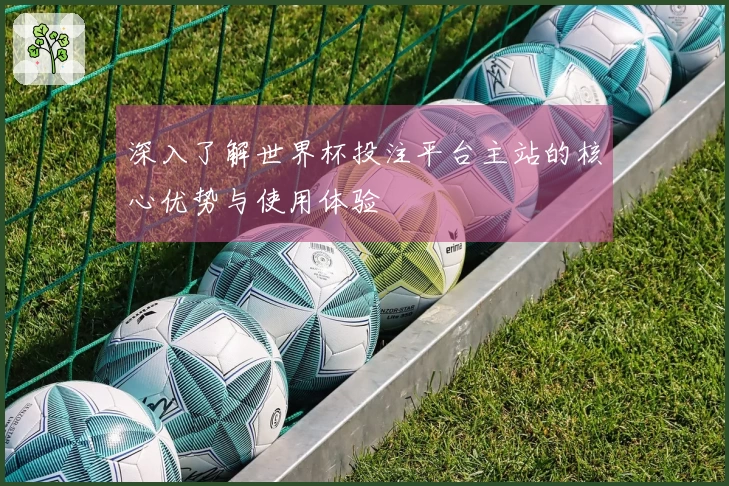 深入了解世界杯投注平台主站的核心优势与使用体验