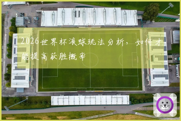 2026世界杯滚球玩法分析，如何才能提高获胜概率