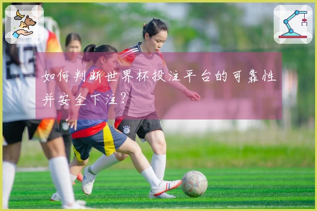 如何判断世界杯投注平台的可靠性并安全下注？