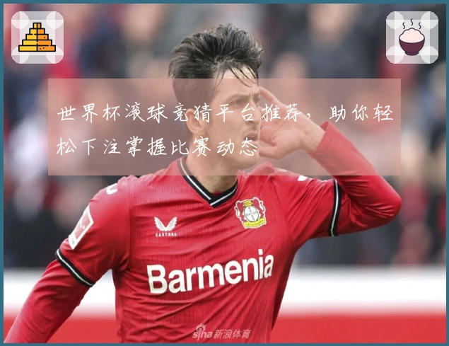 世界杯滚球竞猜平台推荐，助你轻松下注掌握比赛动态