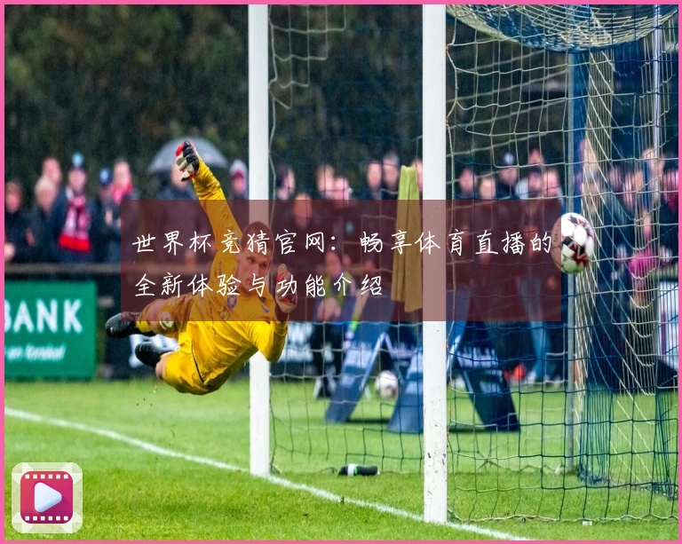 世界杯竞猜官网：畅享体育直播的全新体验与功能介绍