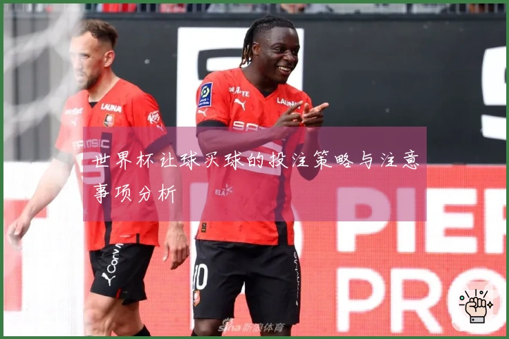 世界杯让球买球的投注策略与注意事项分析