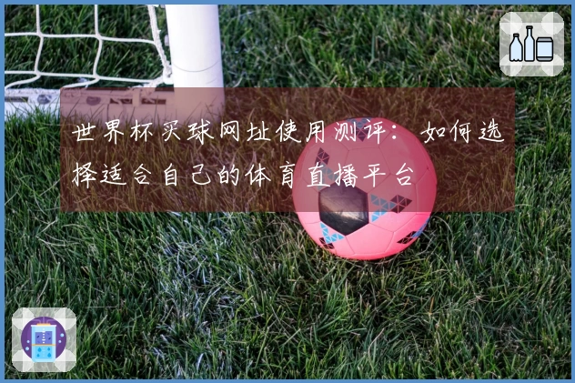 世界杯买球网址使用测评：如何选择适合自己的体育直播平台