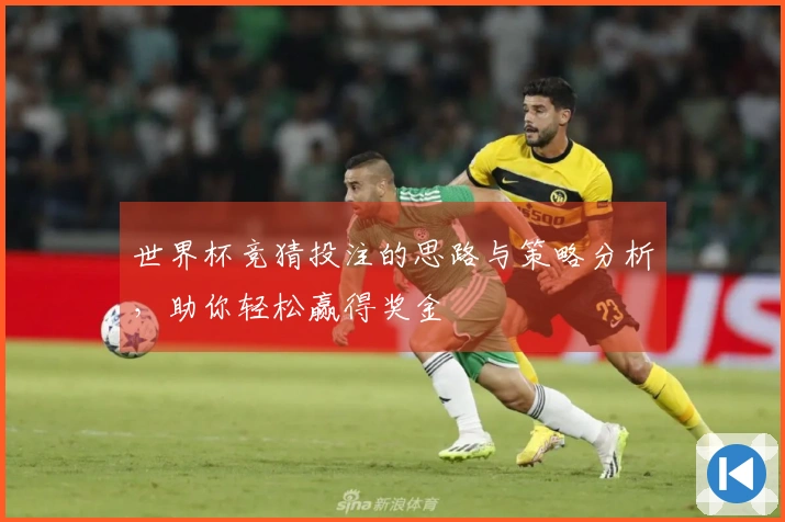 世界杯竞猜投注的思路与策略分析，助你轻松赢得奖金