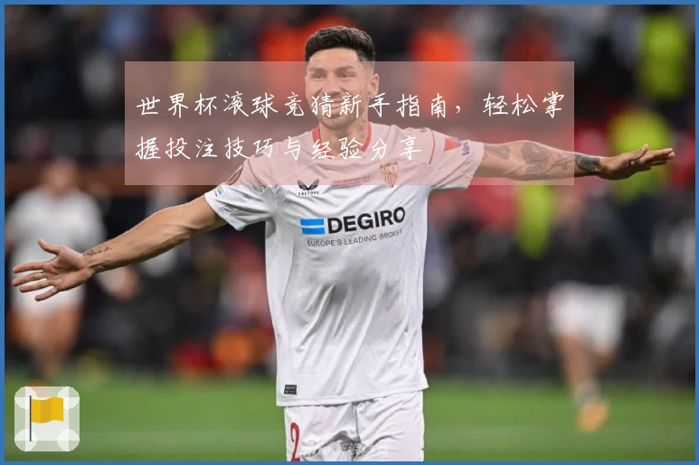 世界杯滚球竞猜新手指南，轻松掌握投注技巧与经验分享