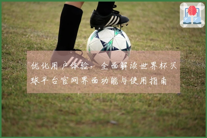 优化用户体验，全面解读世界杯买球平台官网界面功能与使用指南