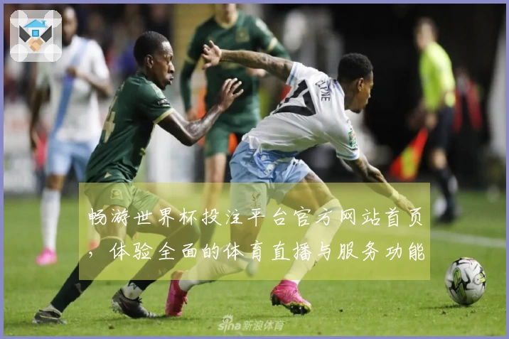 畅游世界杯投注平台官方网站首页，体验全面的体育直播与服务功能