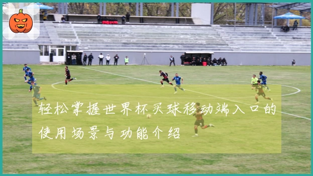 轻松掌握世界杯买球移动端入口的使用场景与功能介绍