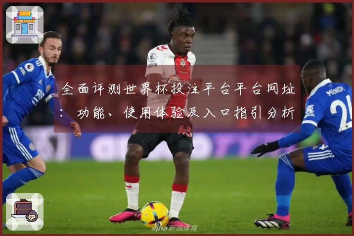 全面评测世界杯投注平台平台网址：功能、使用体验及入口指引分析