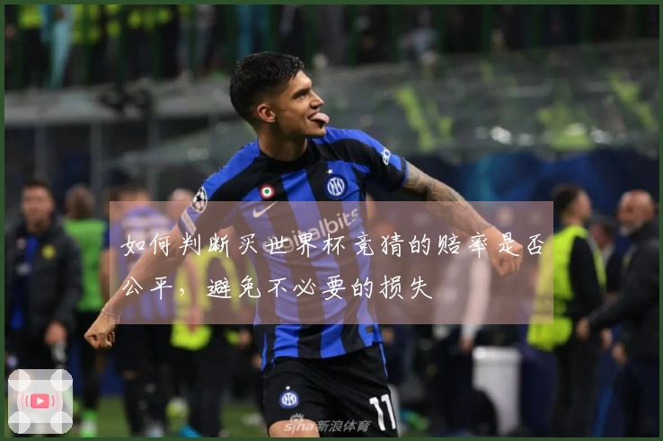 如何判断买世界杯竞猜的赔率是否公平，避免不必要的损失