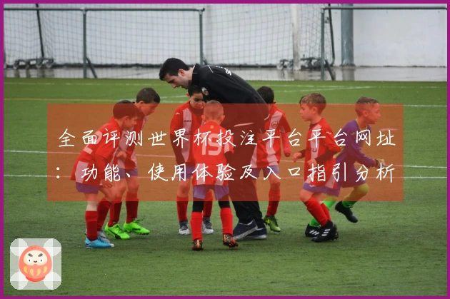 全面评测世界杯投注平台平台网址：功能、使用体验及入口指引分析