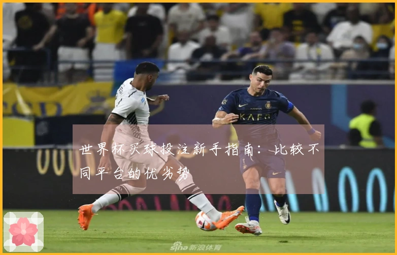世界杯买球投注新手指南：比较不同平台的优劣势