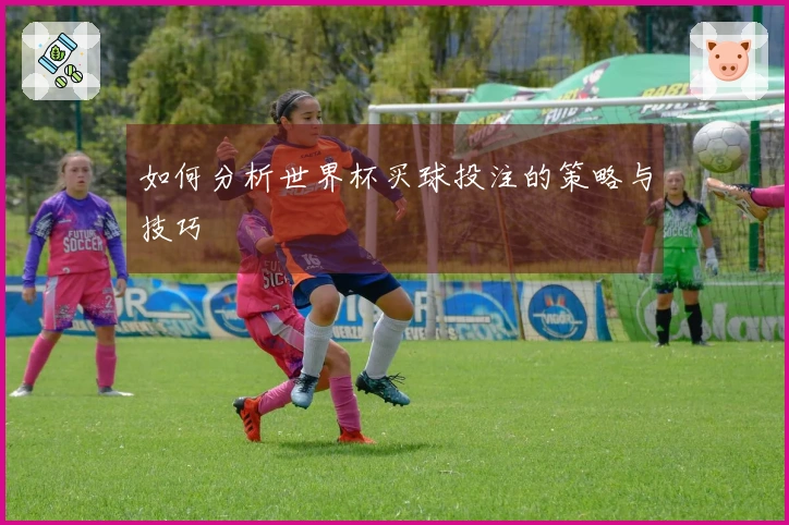 如何分析世界杯买球投注的策略与技巧