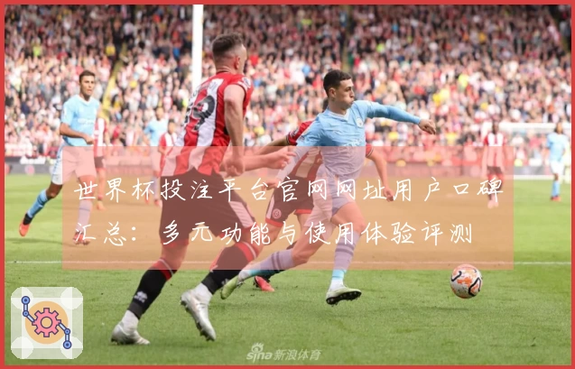世界杯投注平台官网网址用户口碑汇总：多元功能与使用体验评测