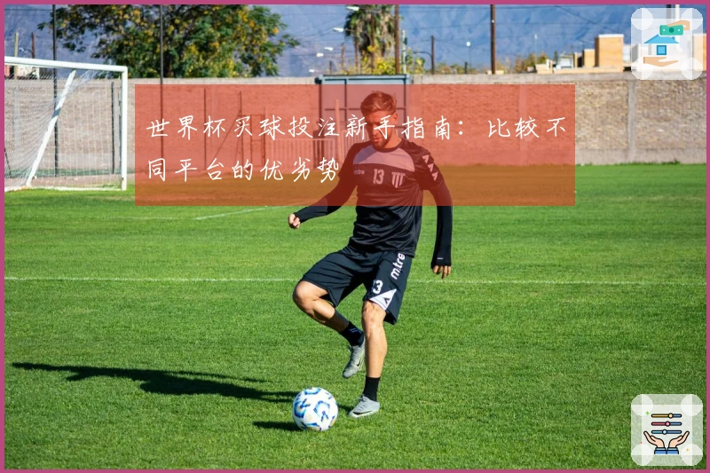 世界杯买球投注新手指南：比较不同平台的优劣势